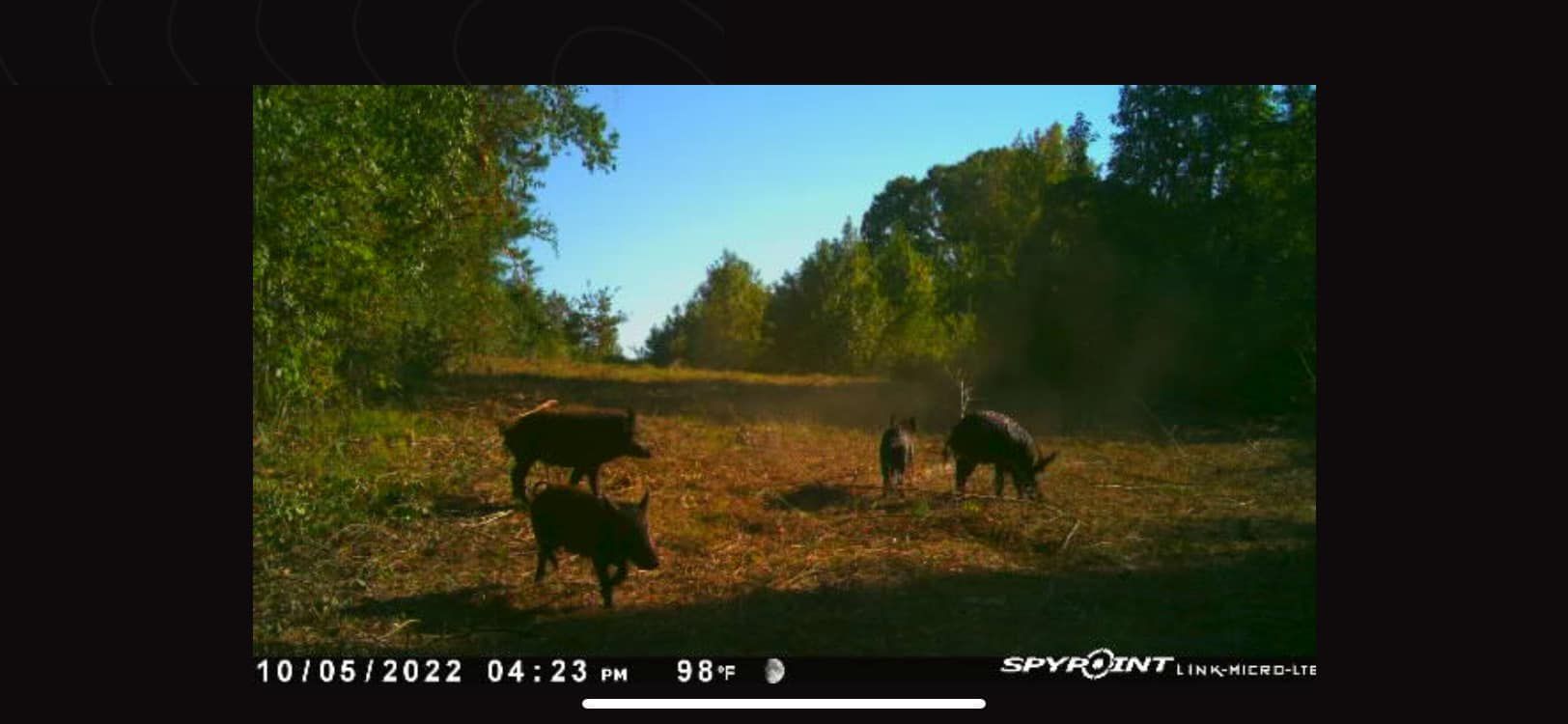 Gallery Bivins, TX Boggy Creek Outfitters