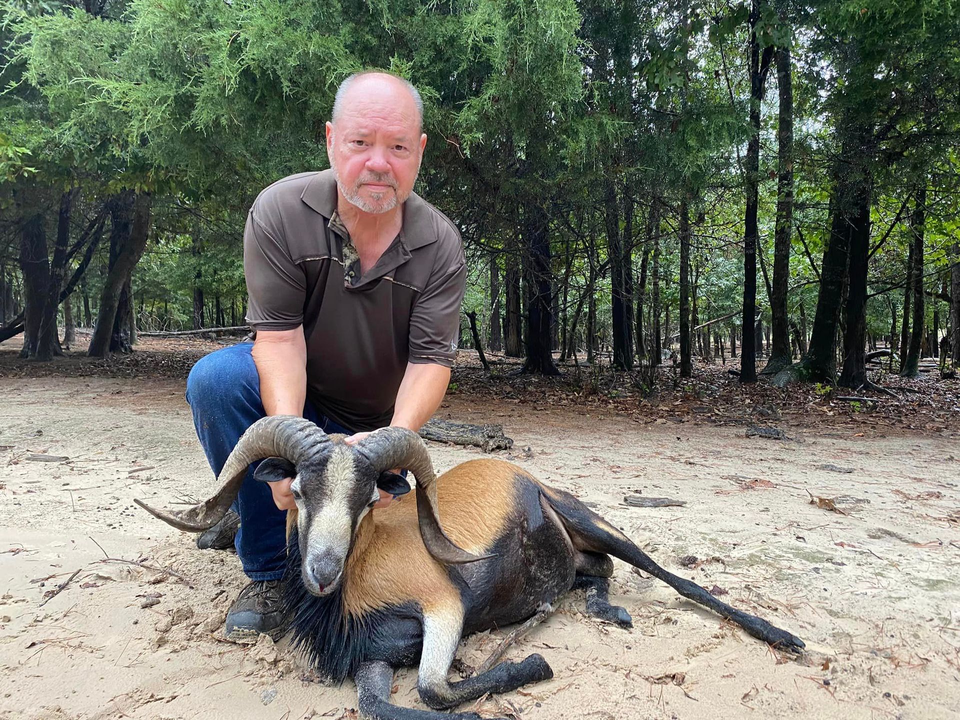 Gallery Bivins, TX Boggy Creek Outfitters