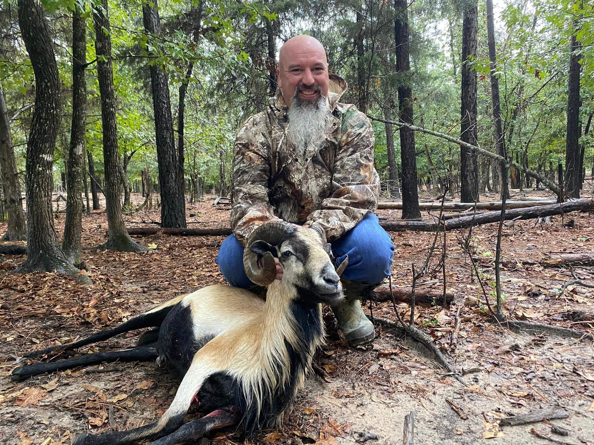 A Man Hunts a White Tail Deer