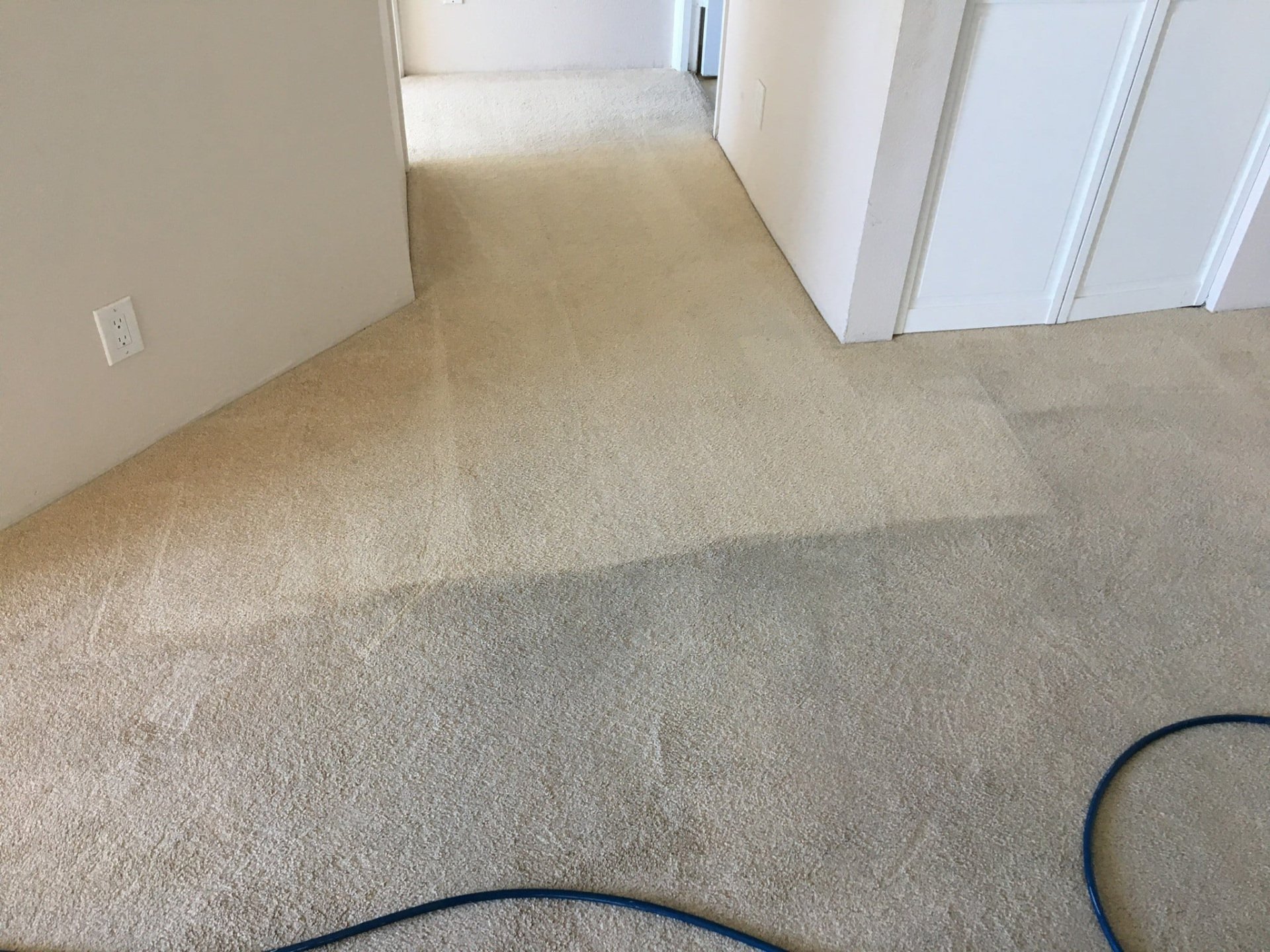 Carpet Cleaning Services Oahu, HI MGM Services