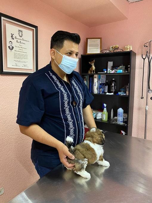 CLÍNICA VETERINARIA CUIDADO ANIMAL - EXPERTOS EN CONSULTA GENERAL