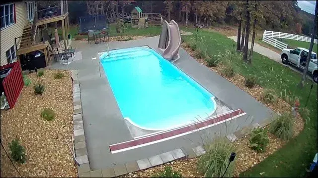 the dolphin pool 
