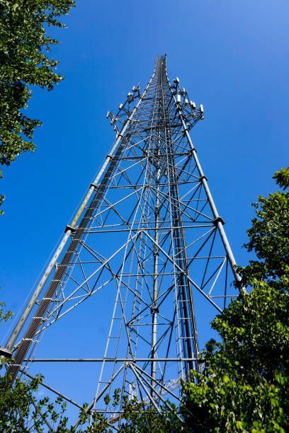 Steel telecommunications tower against a clear blue sky, framed by green trees.
