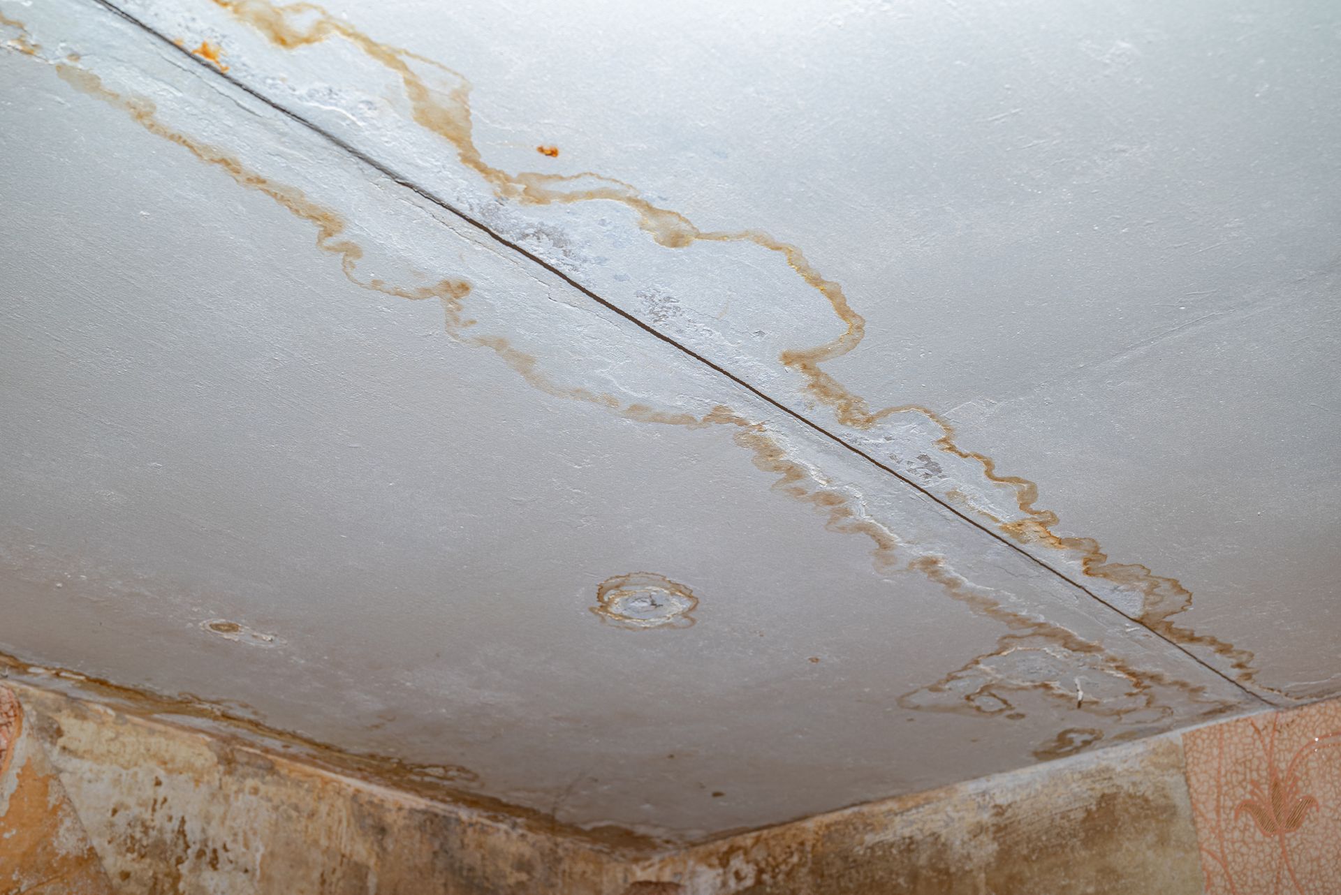 For water restoration services you can rely on in San Antonio, TX - trust Love Birds Remodeling