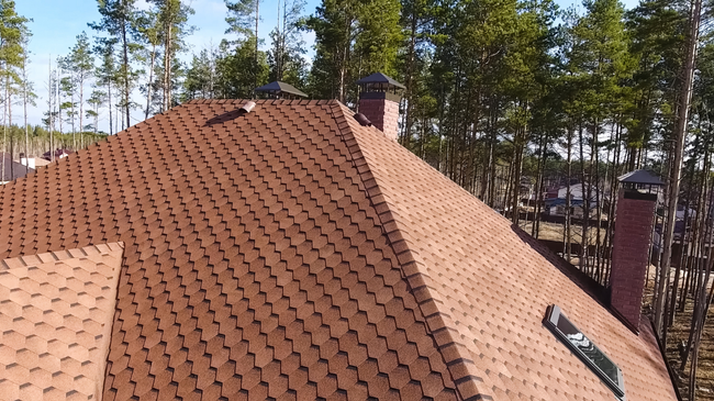 Terracotta tile roof with two chimneys and a skylight, surrounded by pine trees under a clear sky