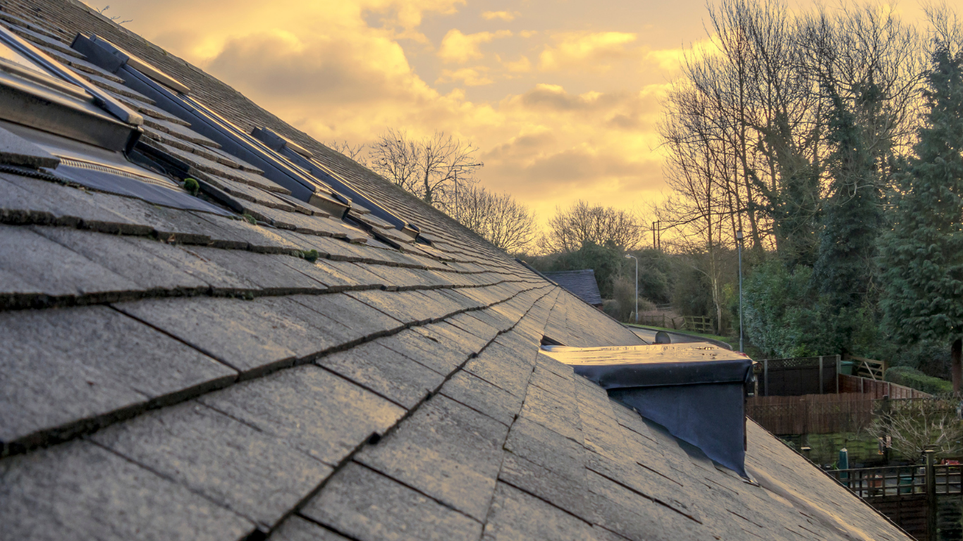 Sloped gray shingle roof at sunset with warm sky and trees in the background