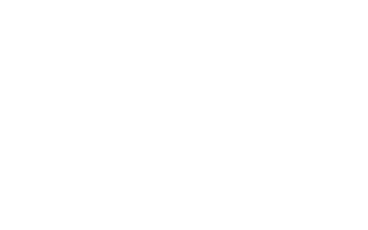 White ISR Data Solutions logo