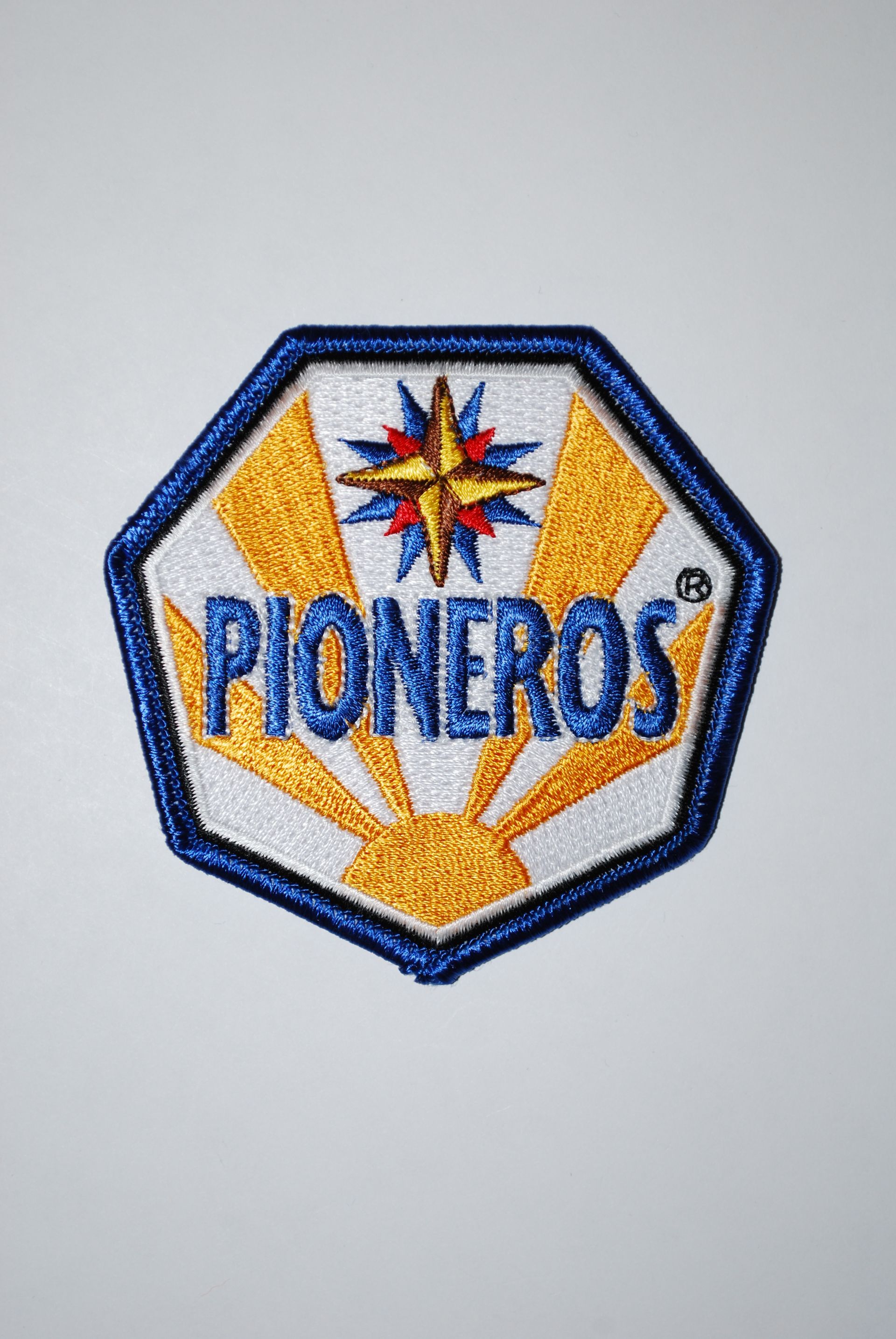 Insignia de Grupo - Pioneros