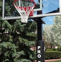 A basketball hoop is sitting in front of a tree in a park.