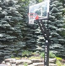 A basketball hoop is sitting in the middle of a forest.
