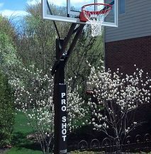 A basketball hoop is sitting in front of a house.
