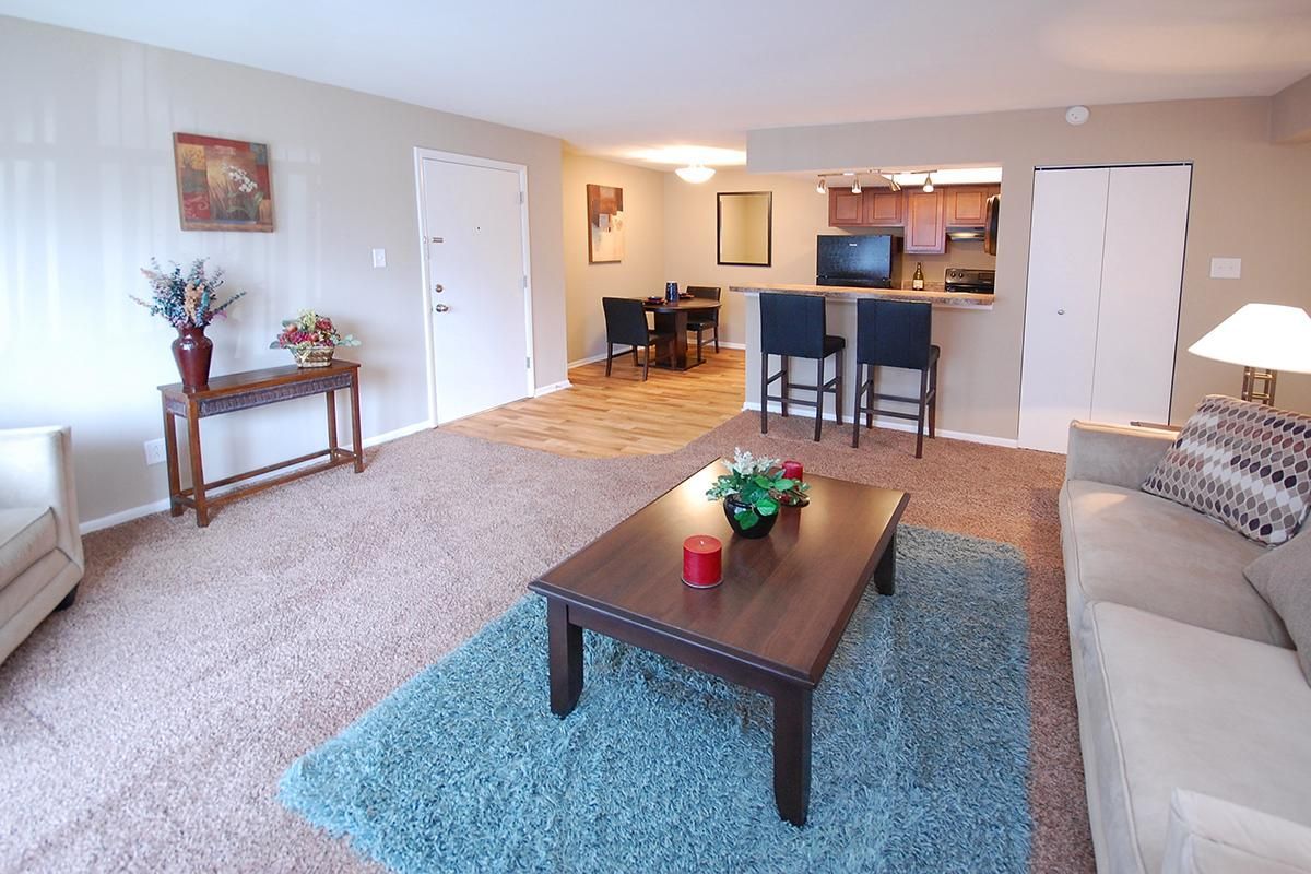 Aspen Pointe Apartment living room coffee table and counter