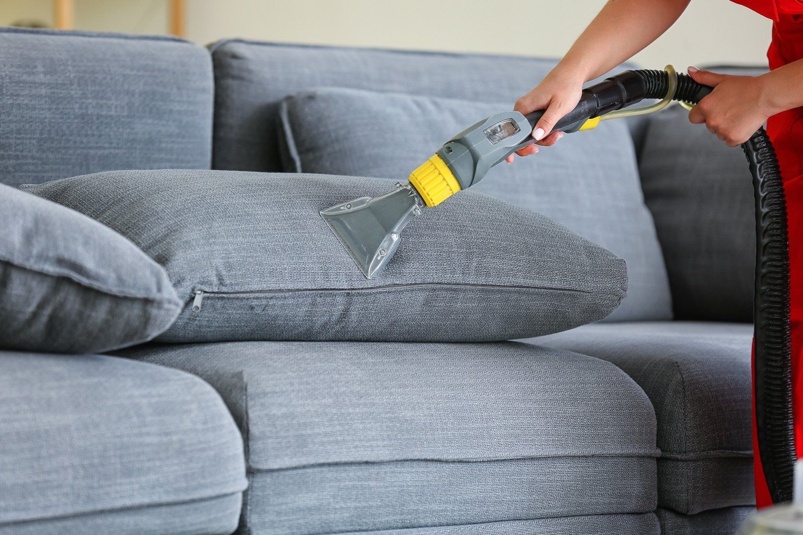 Person vacuuming a gray sofa cushion with a handheld upholstery cleaner.