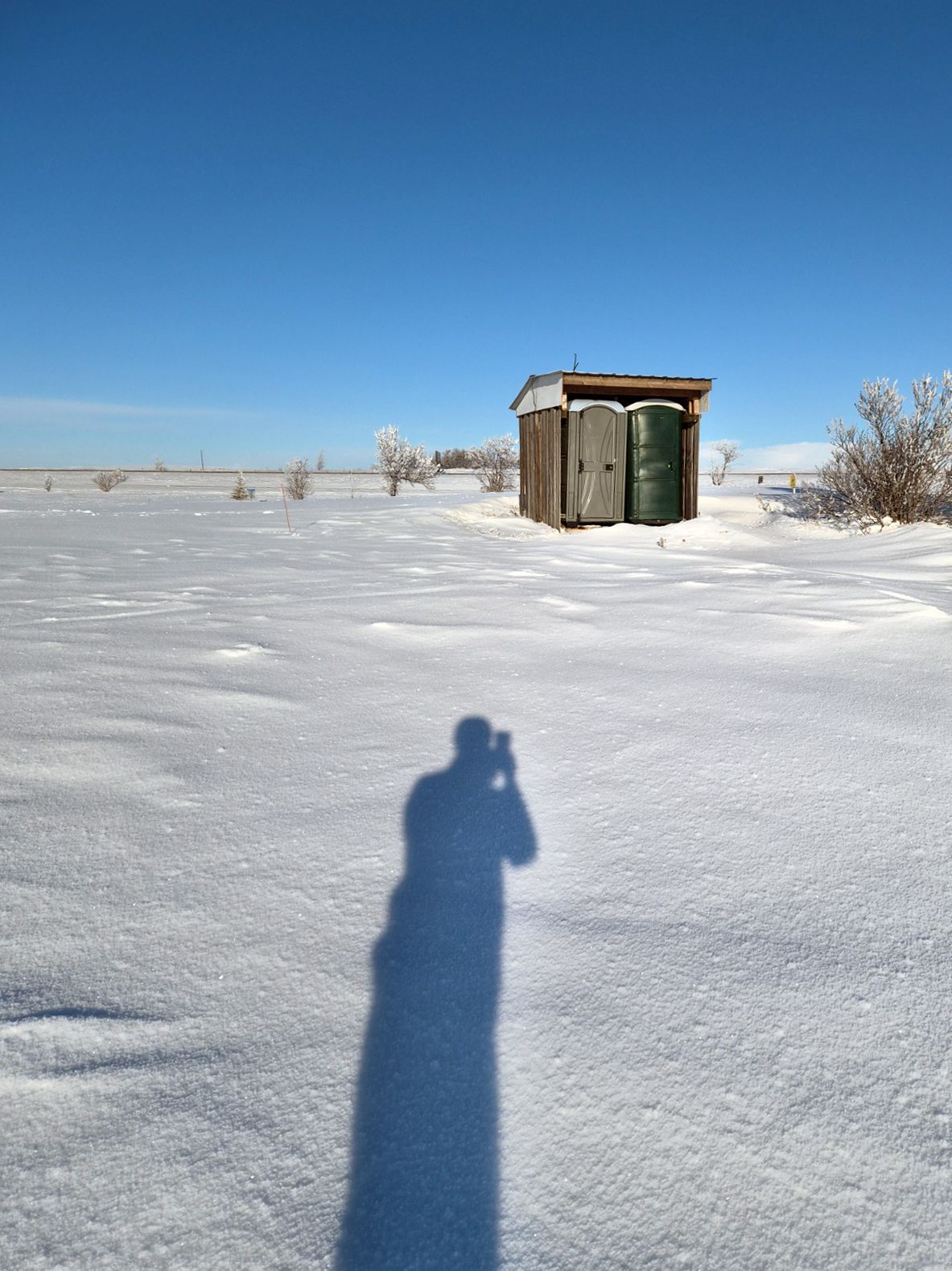 Porta Potties