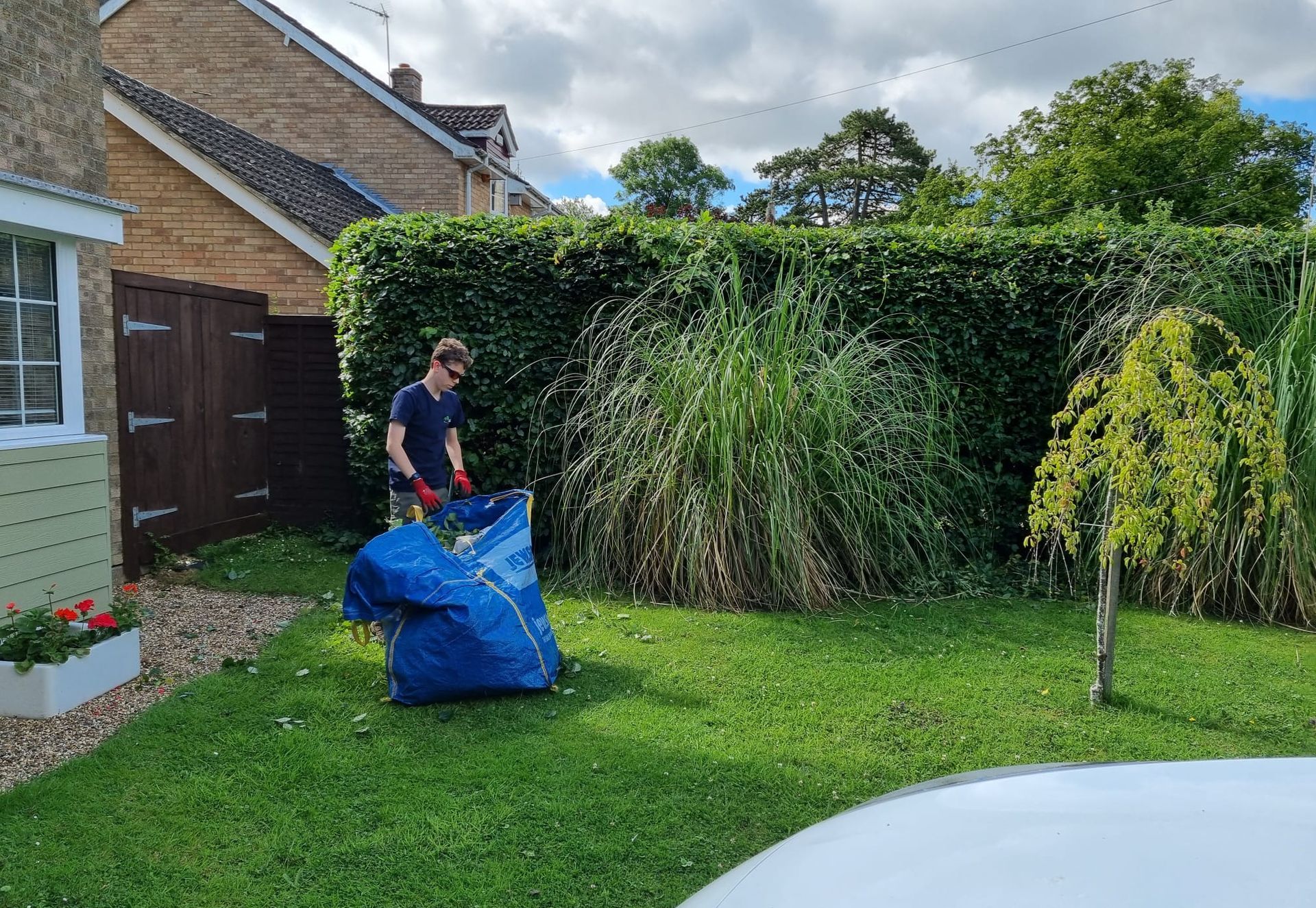 tree pruning