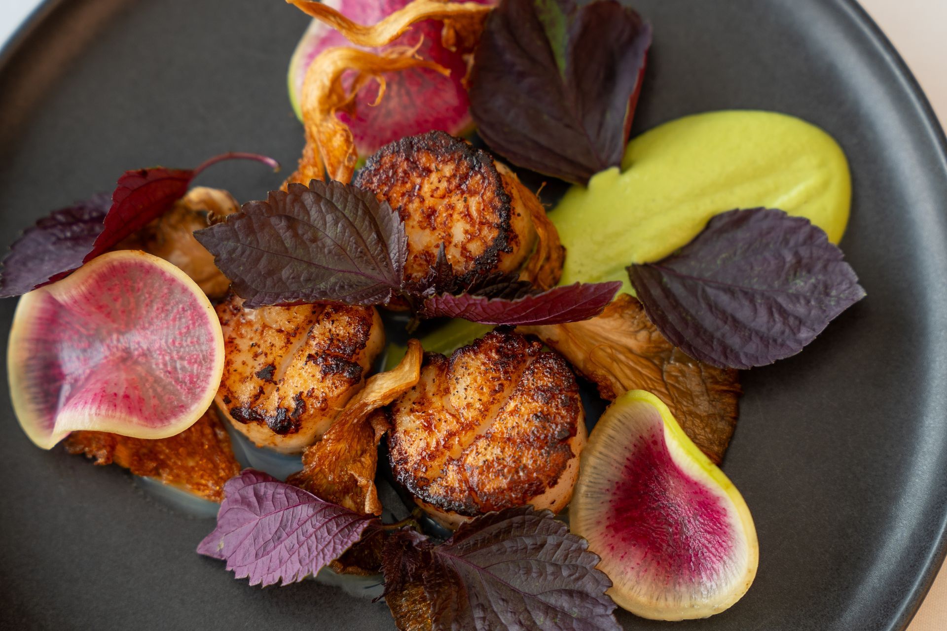 Seared scallops on a black plate, with purple leaves, radish slices, and green sauce.