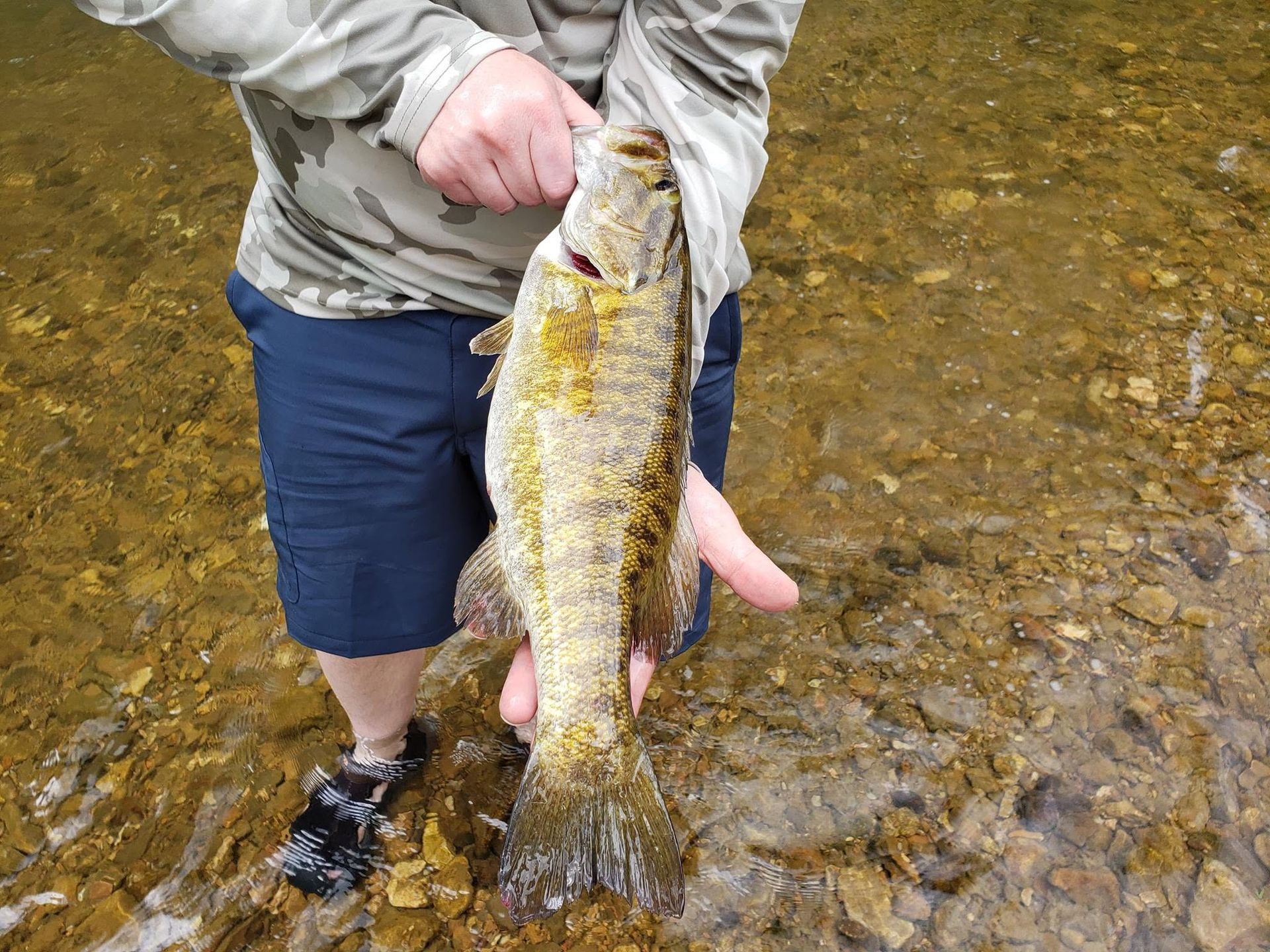 Person holding a trout over a shallow rocky stream