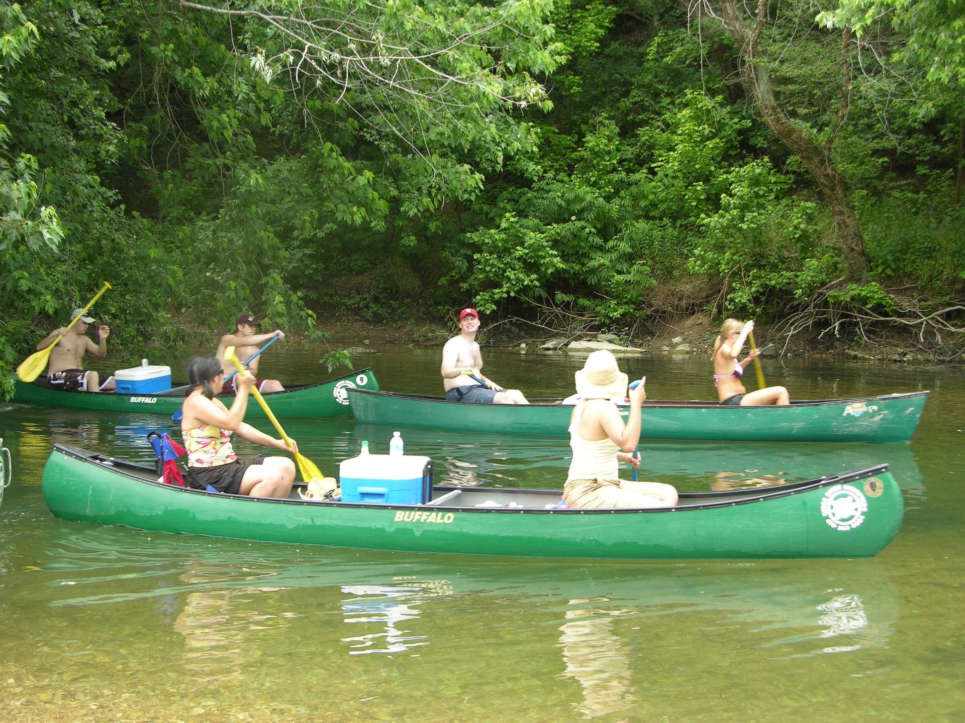 People paddling green canoes on a calm river beside dense green trees