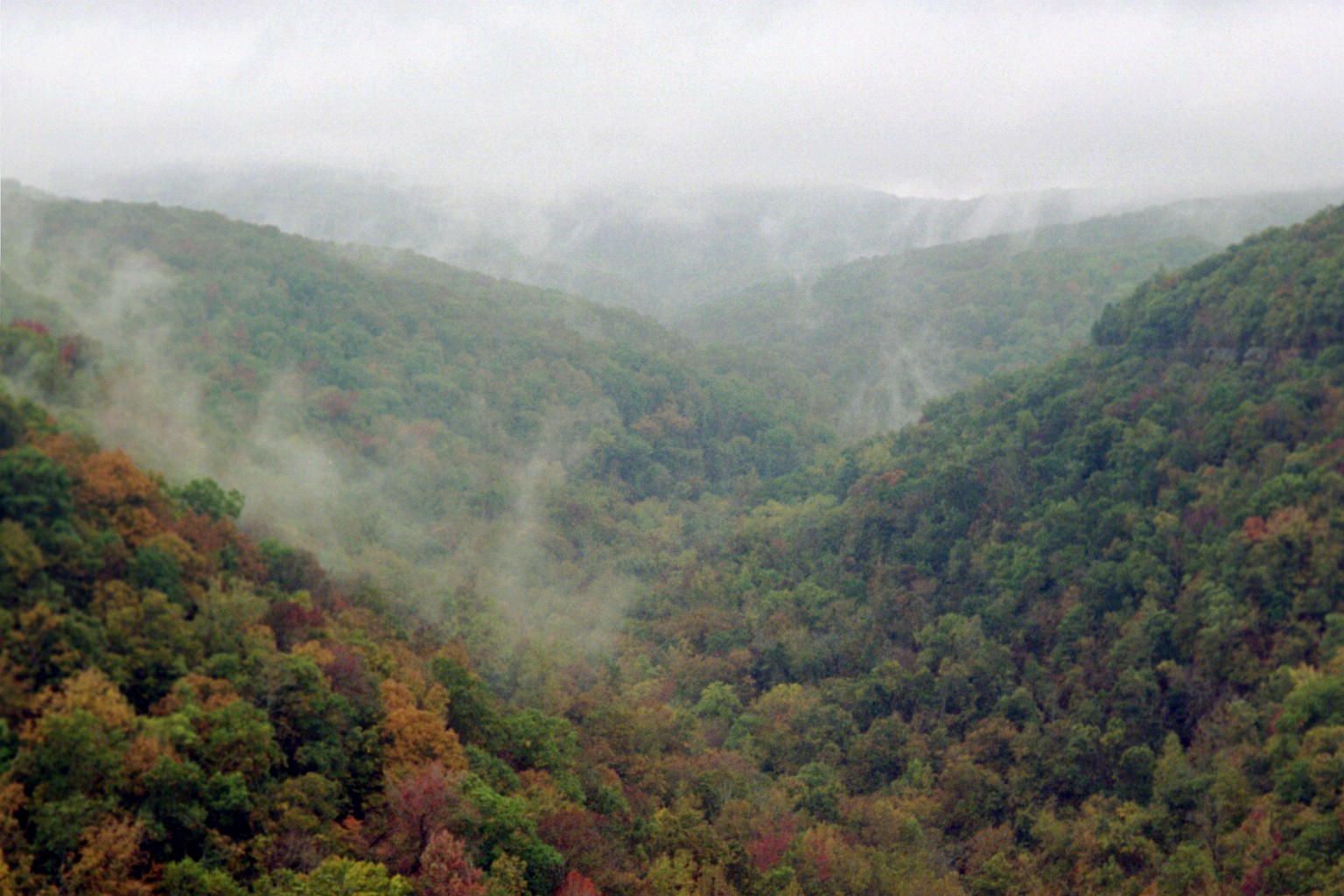 Misty forested valley with dense green and autumn-colored hills under a cloudy sky