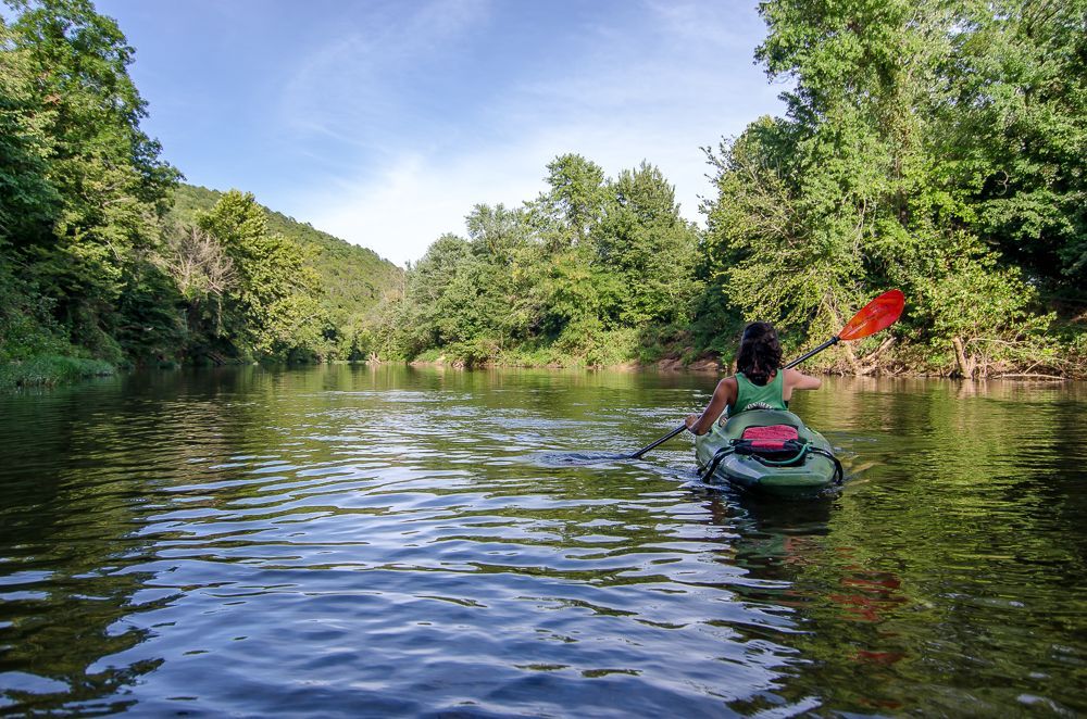 Person kayaking on a calm river surrounded by lush green trees under a blue sky