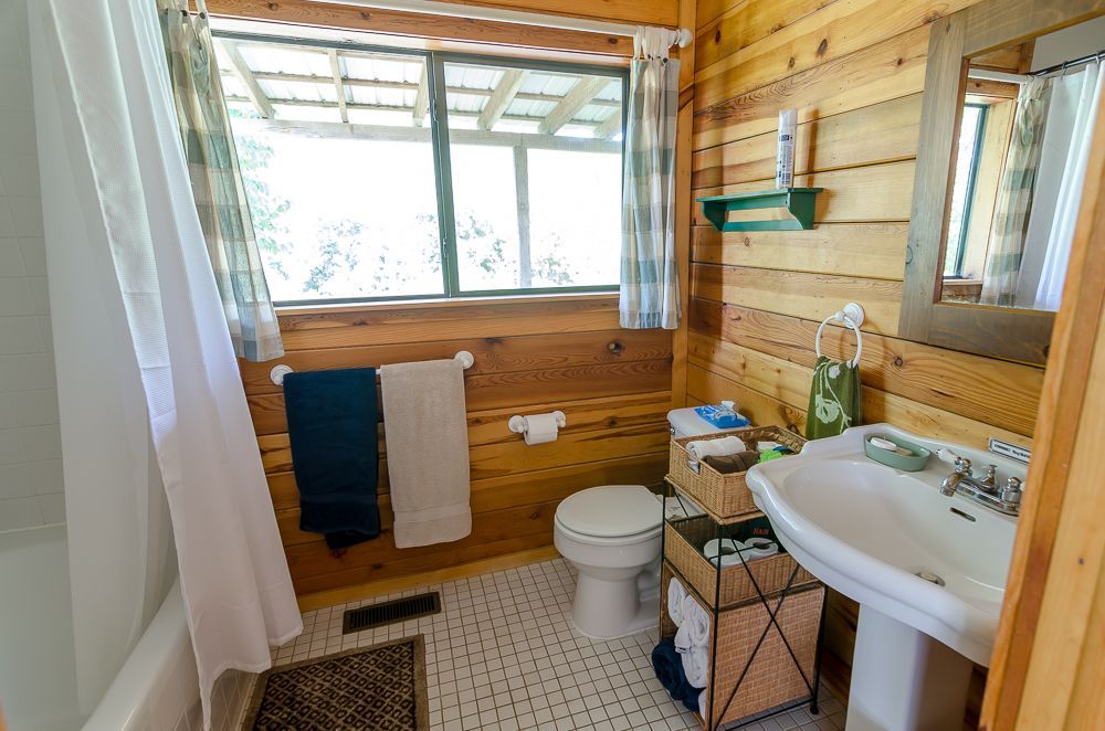 Wood-paneled bathroom with sink, toilet, shower curtain, window, and woven rug.