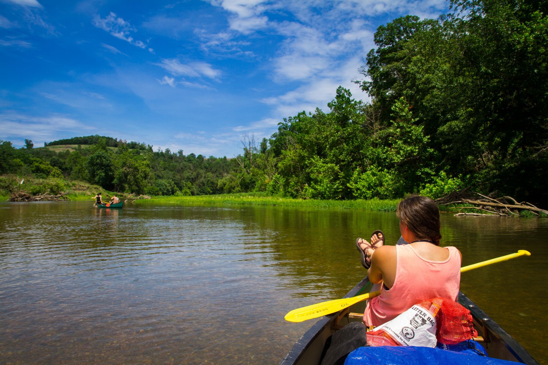 Kayaking on a calm river with lush green trees and blue sky overhead