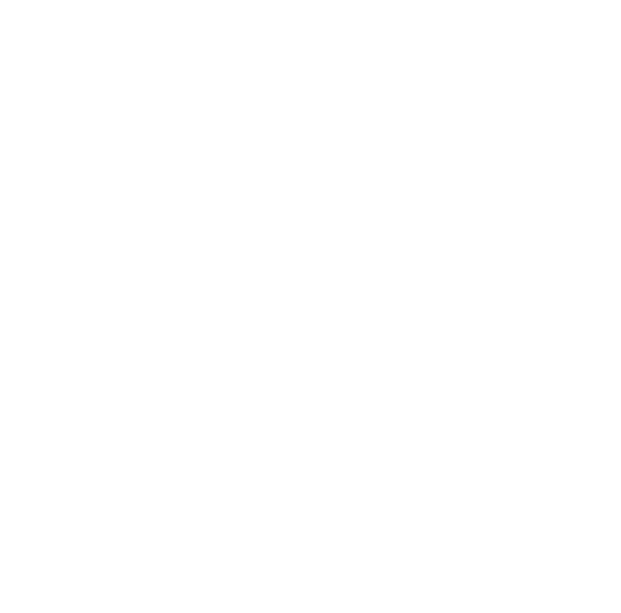 Blue circular emblem with a stylized turtle design in the center