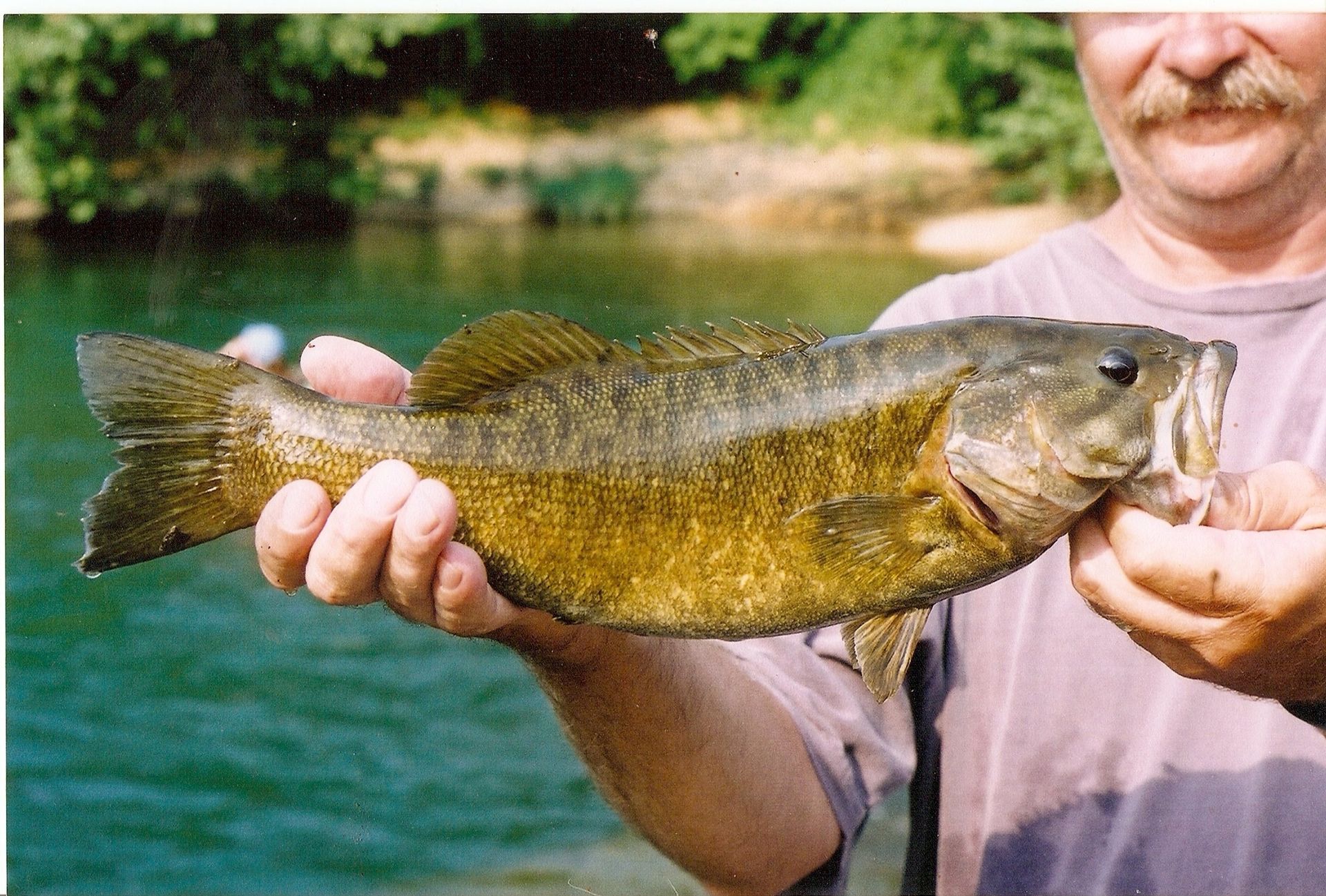 Person holding a largemouth bass over a river, with green water and trees in the background