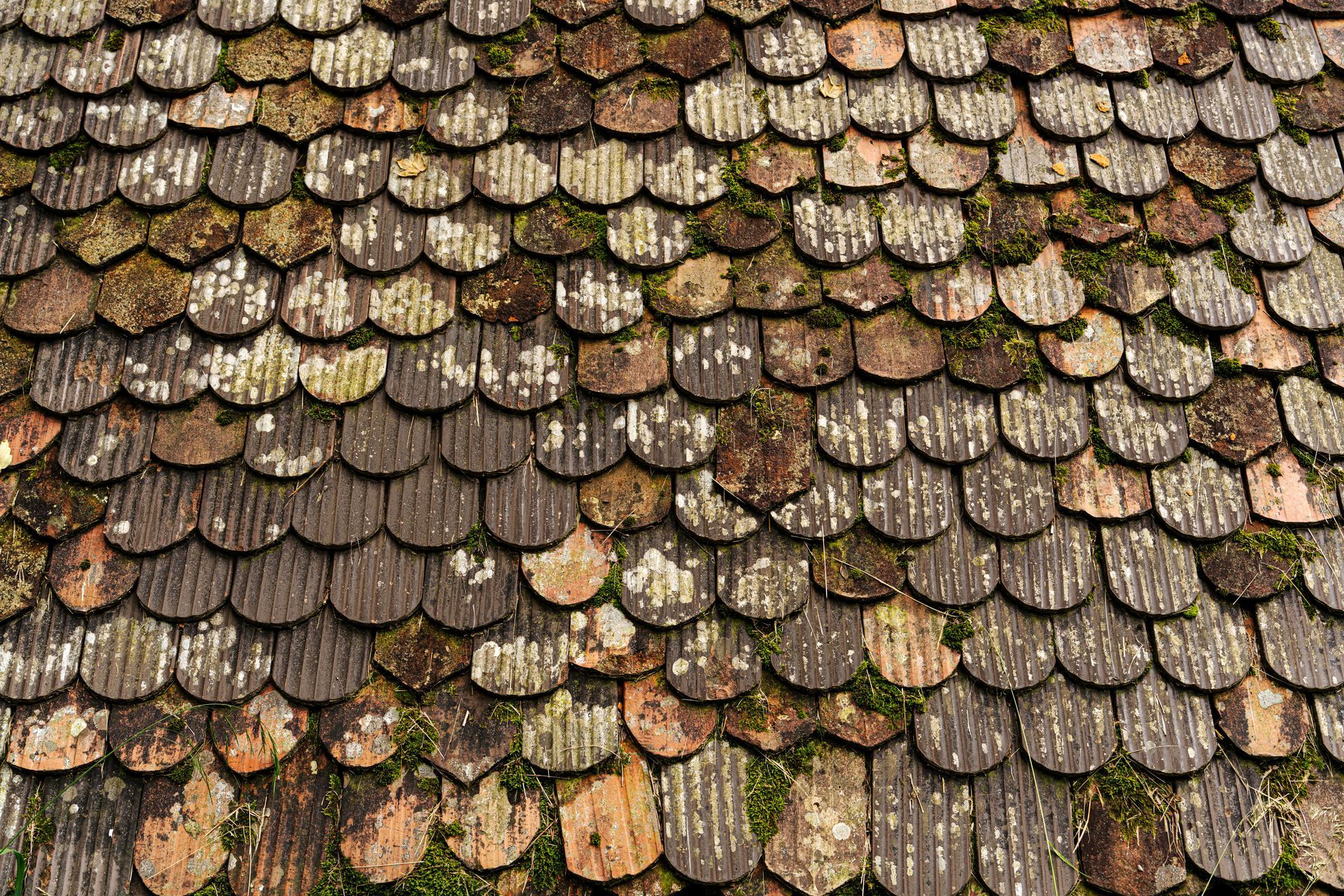 A close-up of premium asphalt roofing shingles representing the quality materials used by certified roofing contractors