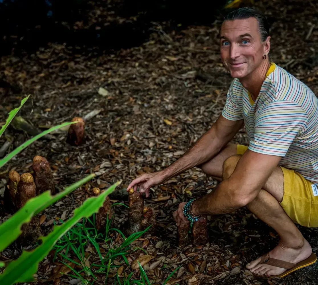 Man crouching in a muddy garden, planting seedlings beside green plants, wearing a striped shirt and yellow shorts