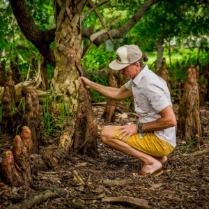 Person crouching among trees in a lush garden, touching a trunk near hanging roots.