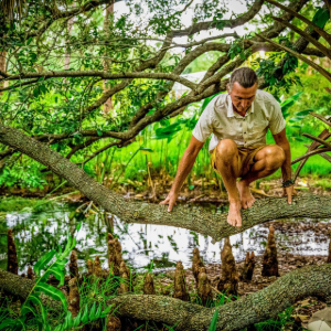 Man crouching on a tree branch in a lush green forest canopy