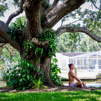Person sitting on a bench under a large tree in a green park near a modern building