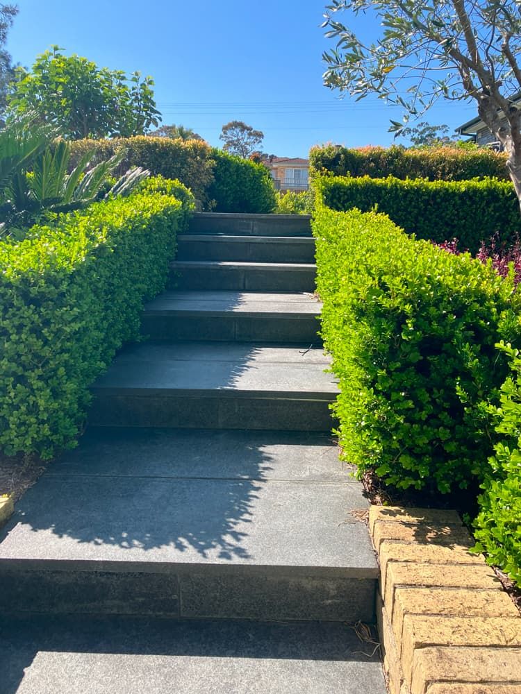 A Set of Stairs Surrounded by Bushes on a Sunny Day — Peter Phillips Landscape Design in Kangaroo Valley, NSW