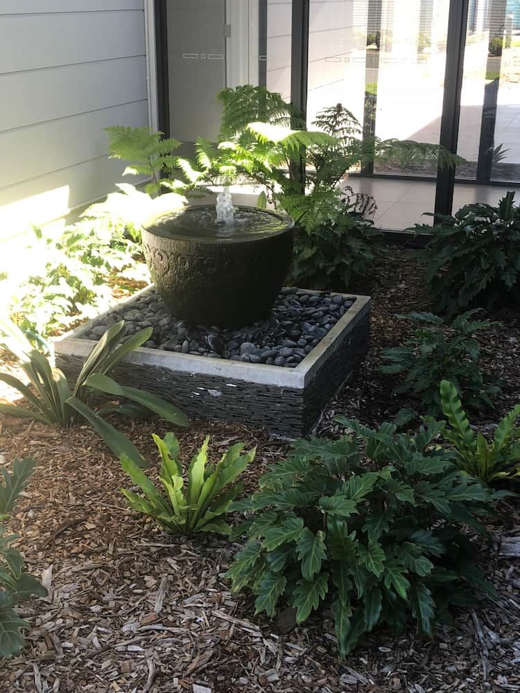 There is a Fountain in the Middle of the Garden Surrounded by Plants — Peter Phillips Landscape Design in Bomaderry, NSW