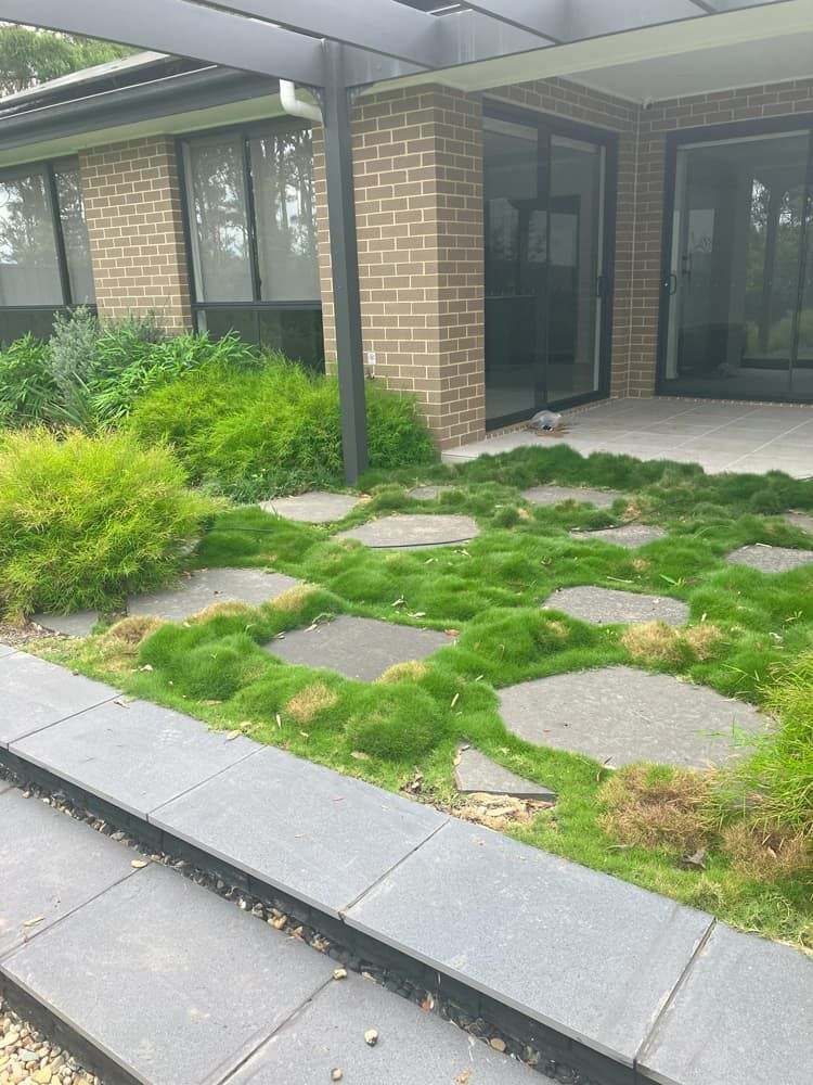 A Brick House With a Lush Green Lawn in Front of It — Peter Phillips Landscape Design in Bomaderry, NSW