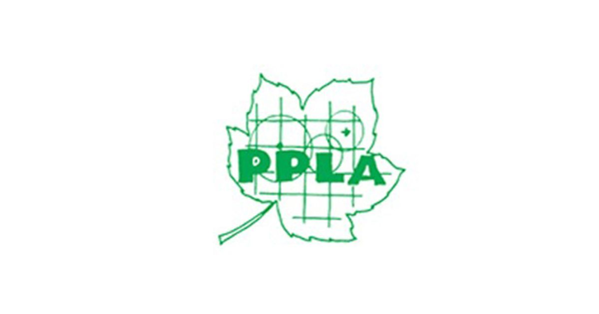Peter Phillips Landscape Design