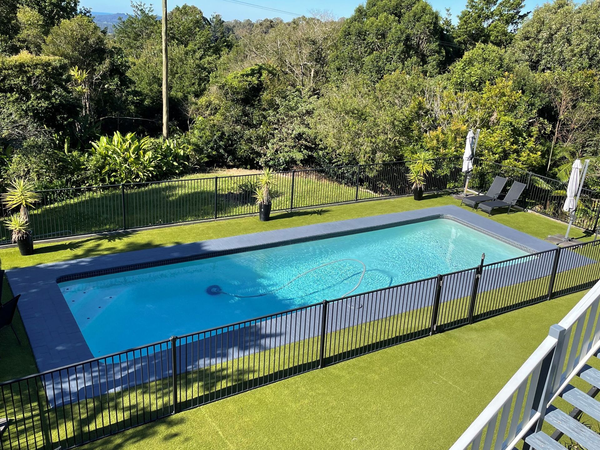 A Rectangular Swimming Pool Surrounded by Greenery and a Black Fence — Mad Pool Interiors and Renovations in Baringa, QLD