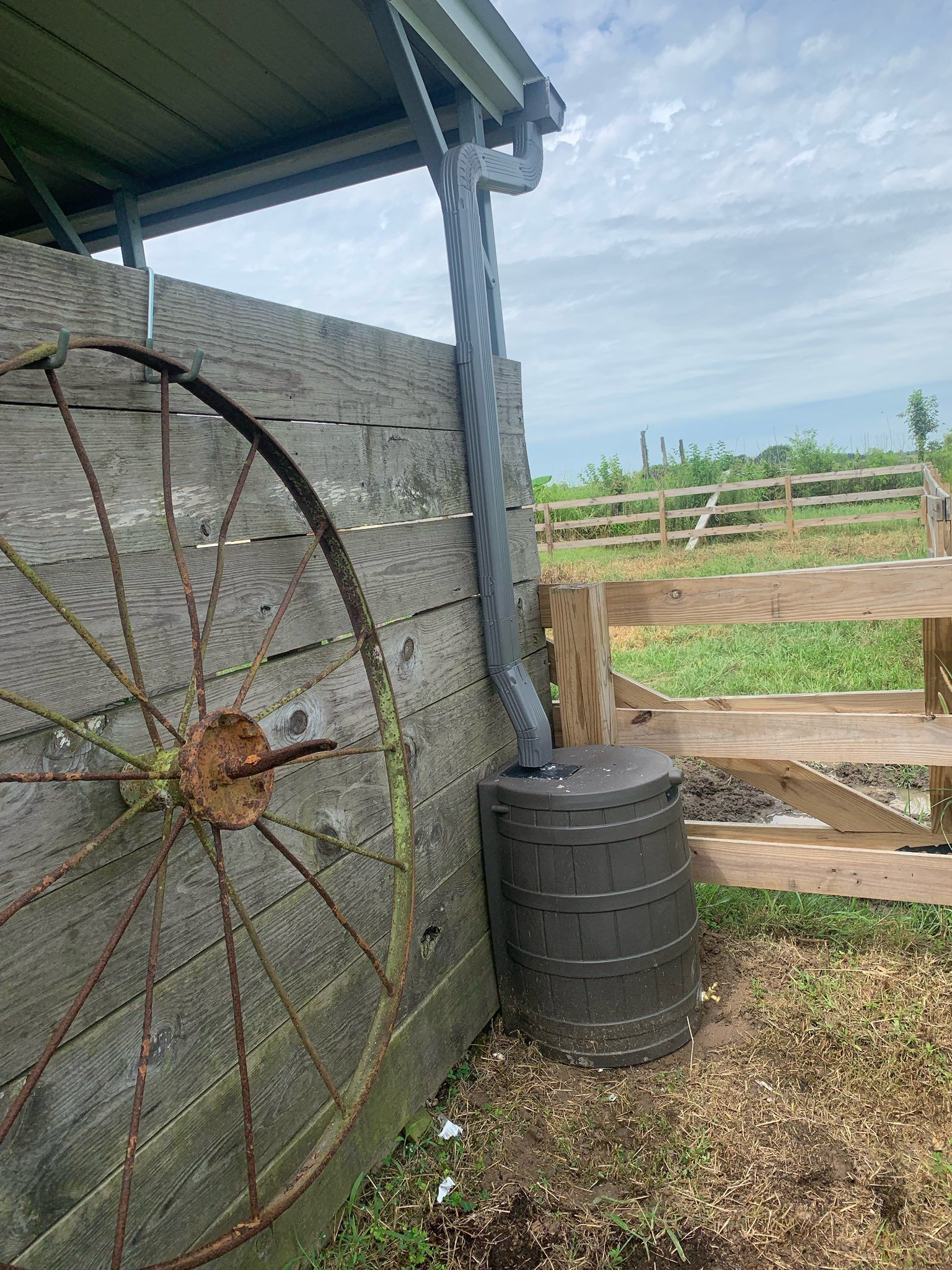 Farmyard corner with a large metal wagon wheel, gray wall, black barrel, and wooden gate opening to pasture.