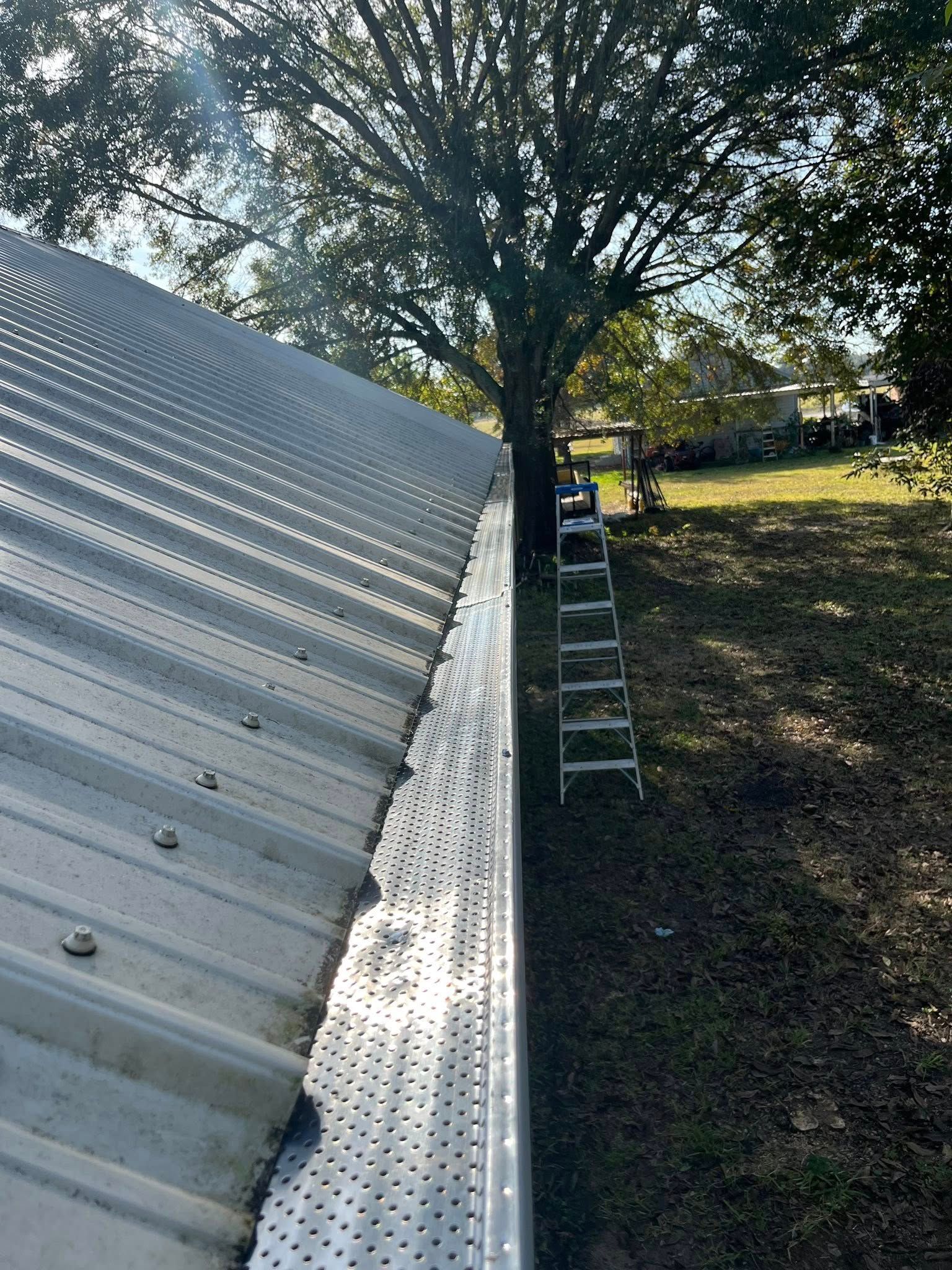 Ladder leaning beside a metal roof with tree shade and grassy yard below