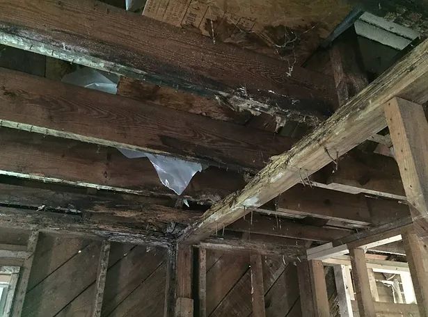 Major Home Repairs
