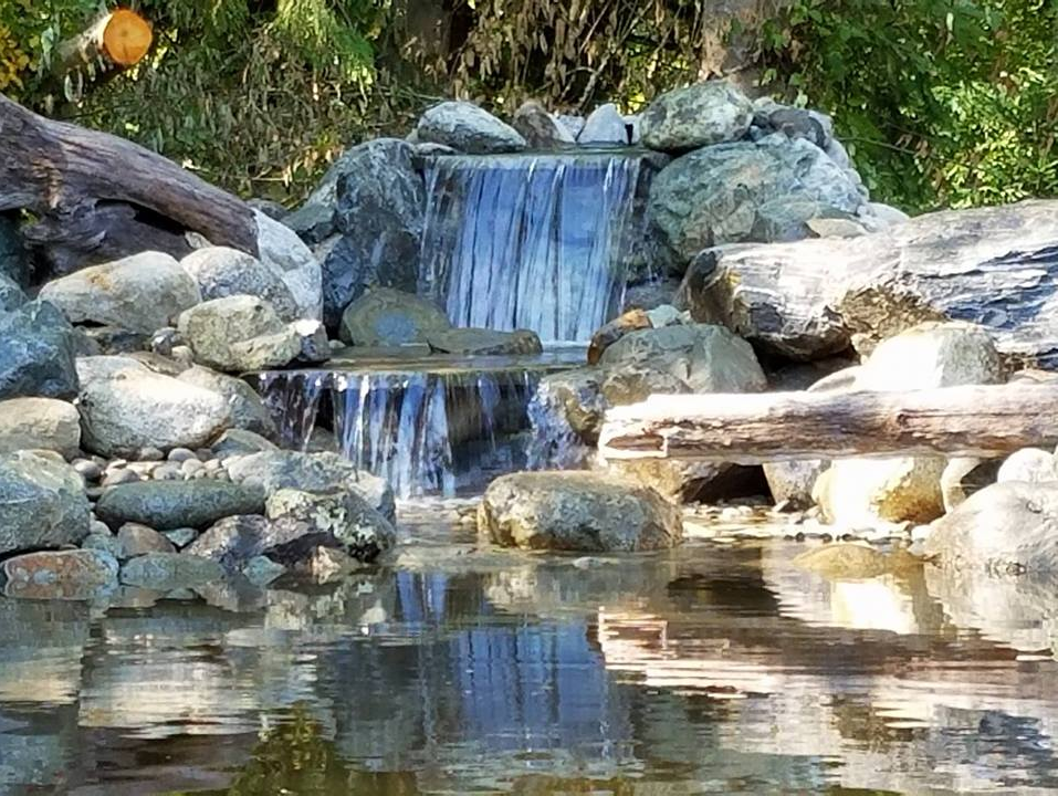 Waterfall Pond Supply in Mount Vernon, WA Pond Building & Pond Supplies
