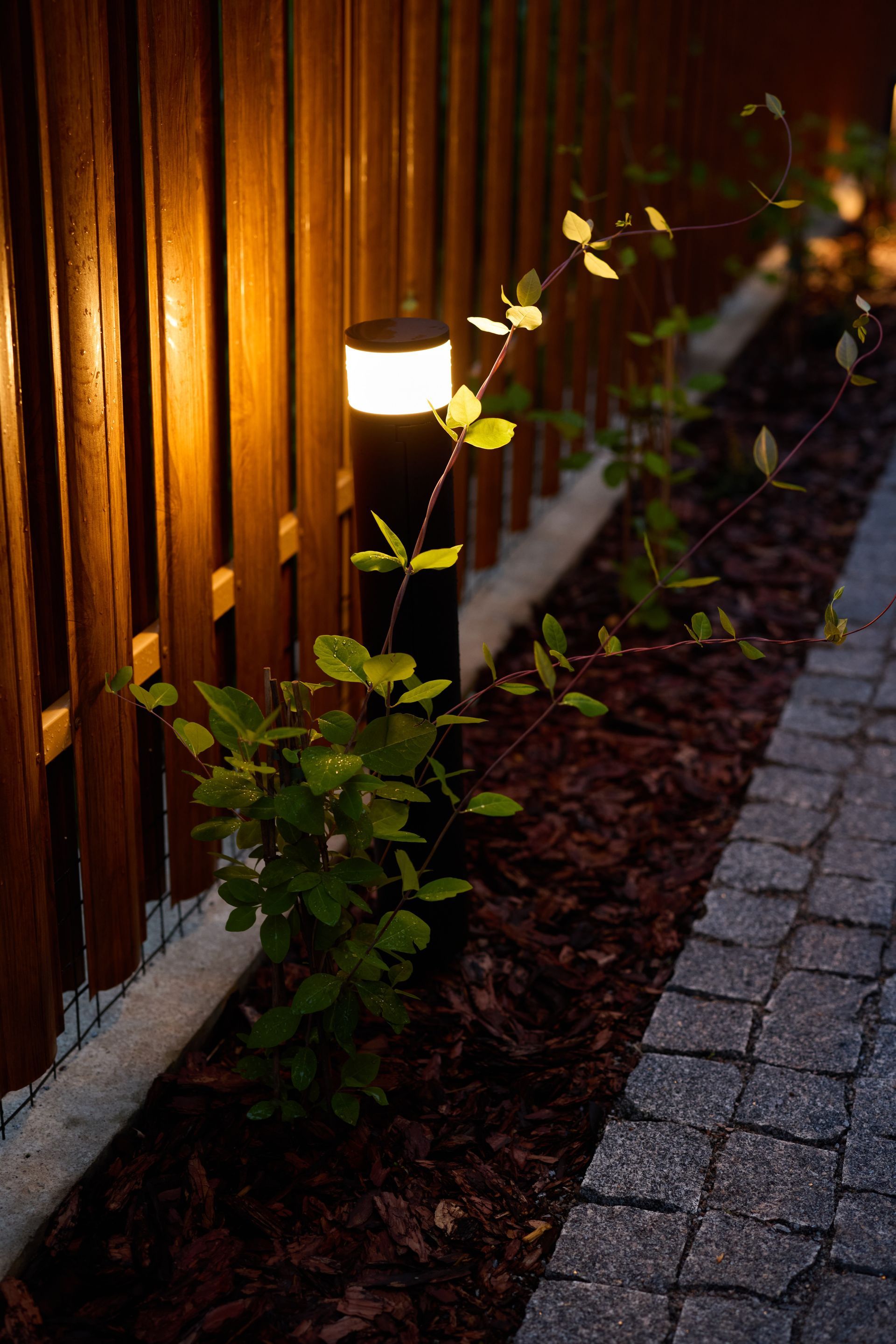 Dim garden path beside a wooden fence lit by a small outdoor lamp at night