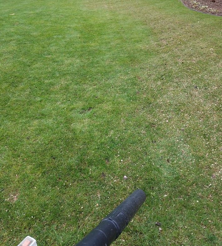 How to Manage Thatch in MN Lawns Do I Need to Dethatch My Lawn in