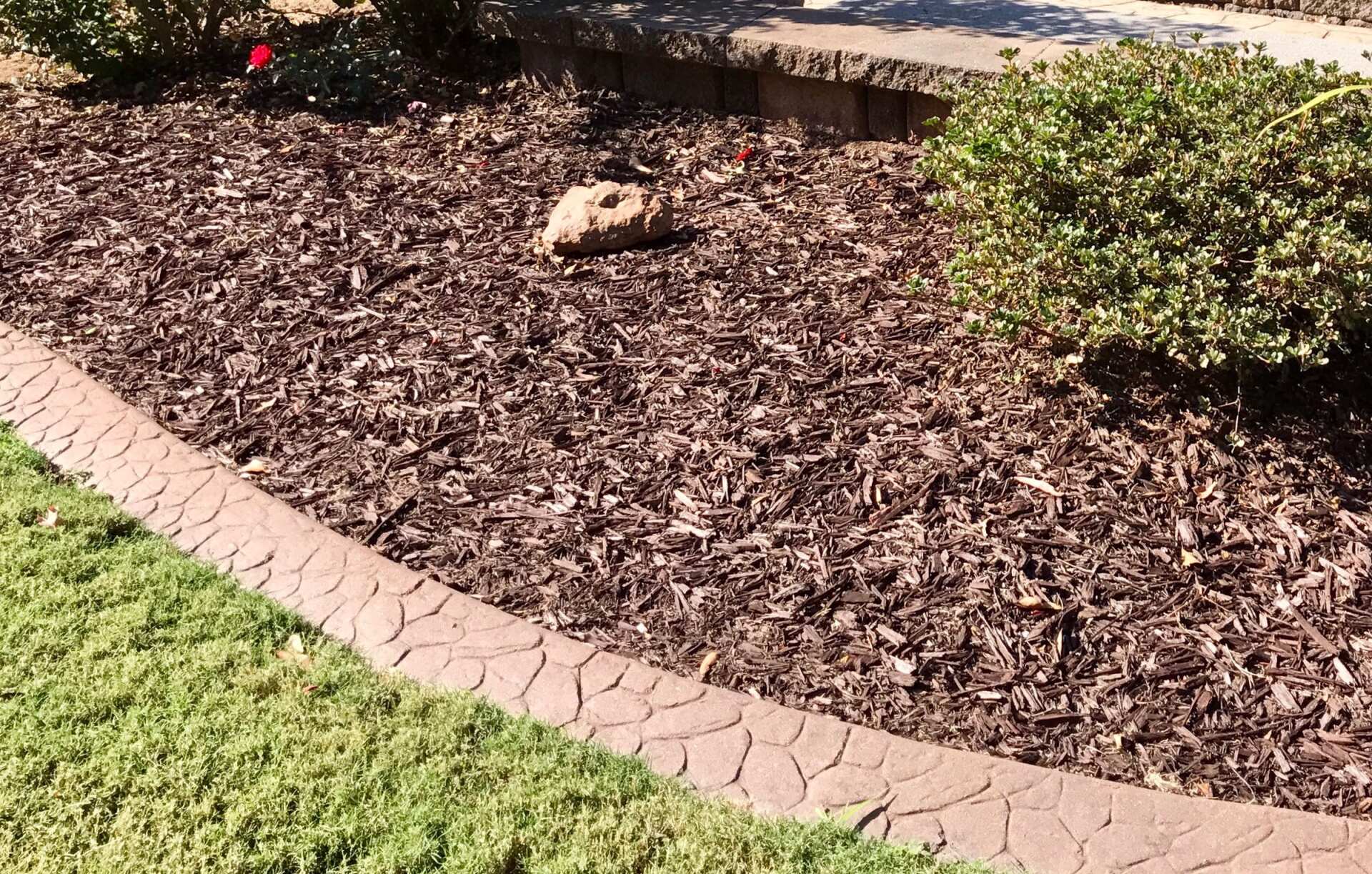 When to Replace Your Mulching