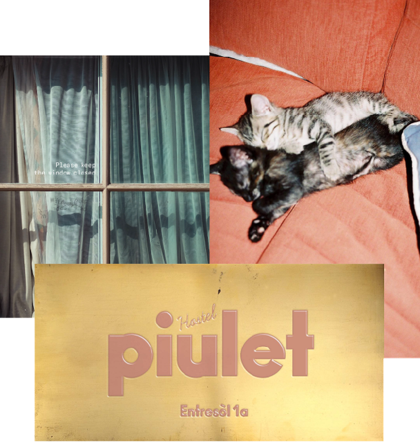 A cat laying on a couch next to a sign that says piulet