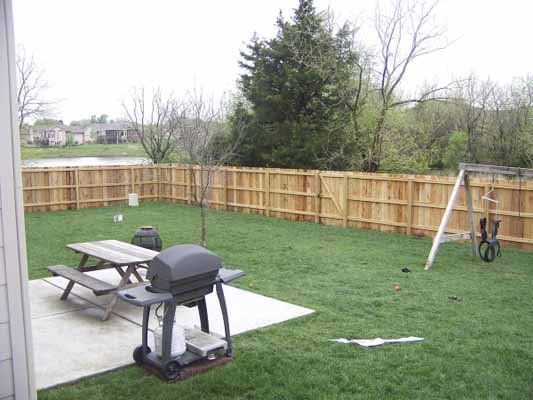 bbq back yard