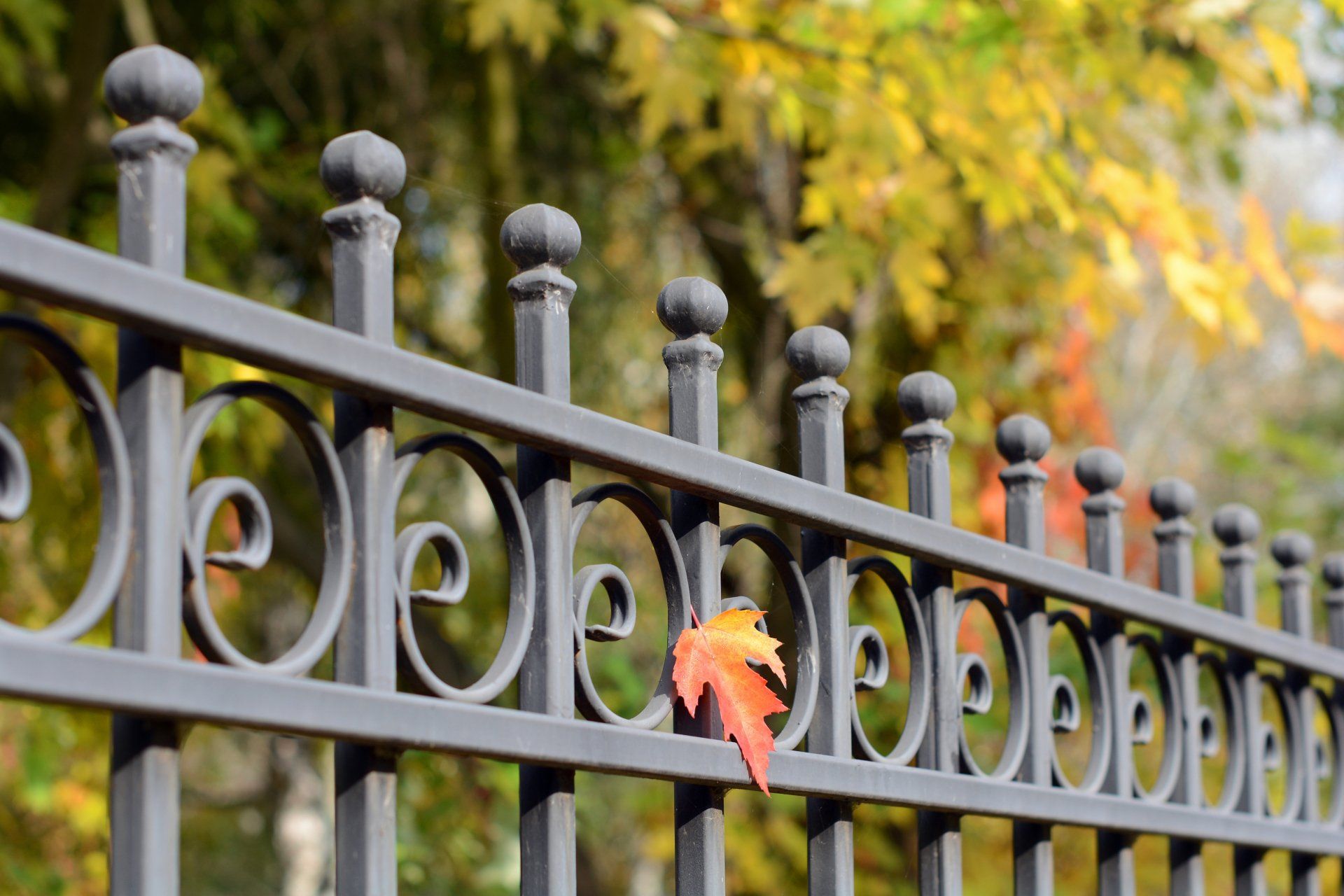 Image of a Beautiful decorative cast metal wrought fencing with artistic forging