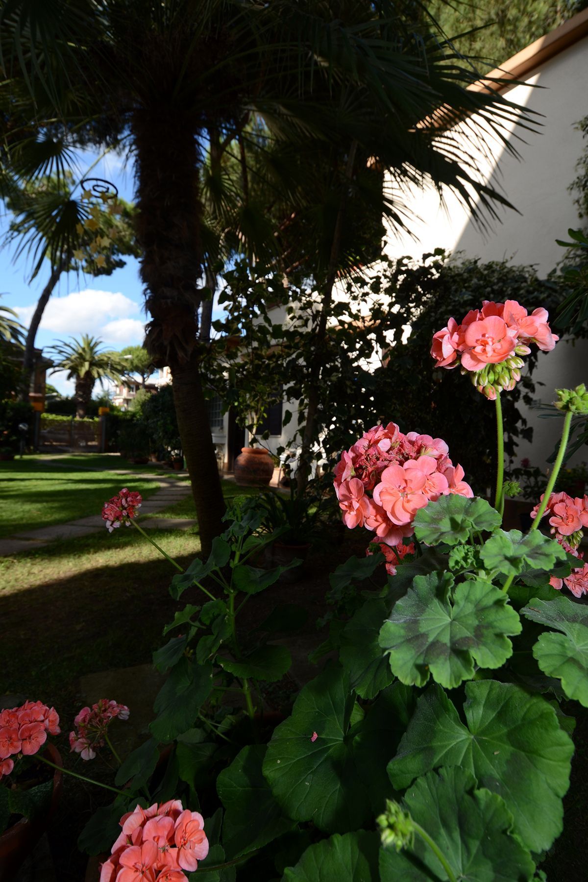 casa vacanze egitto
