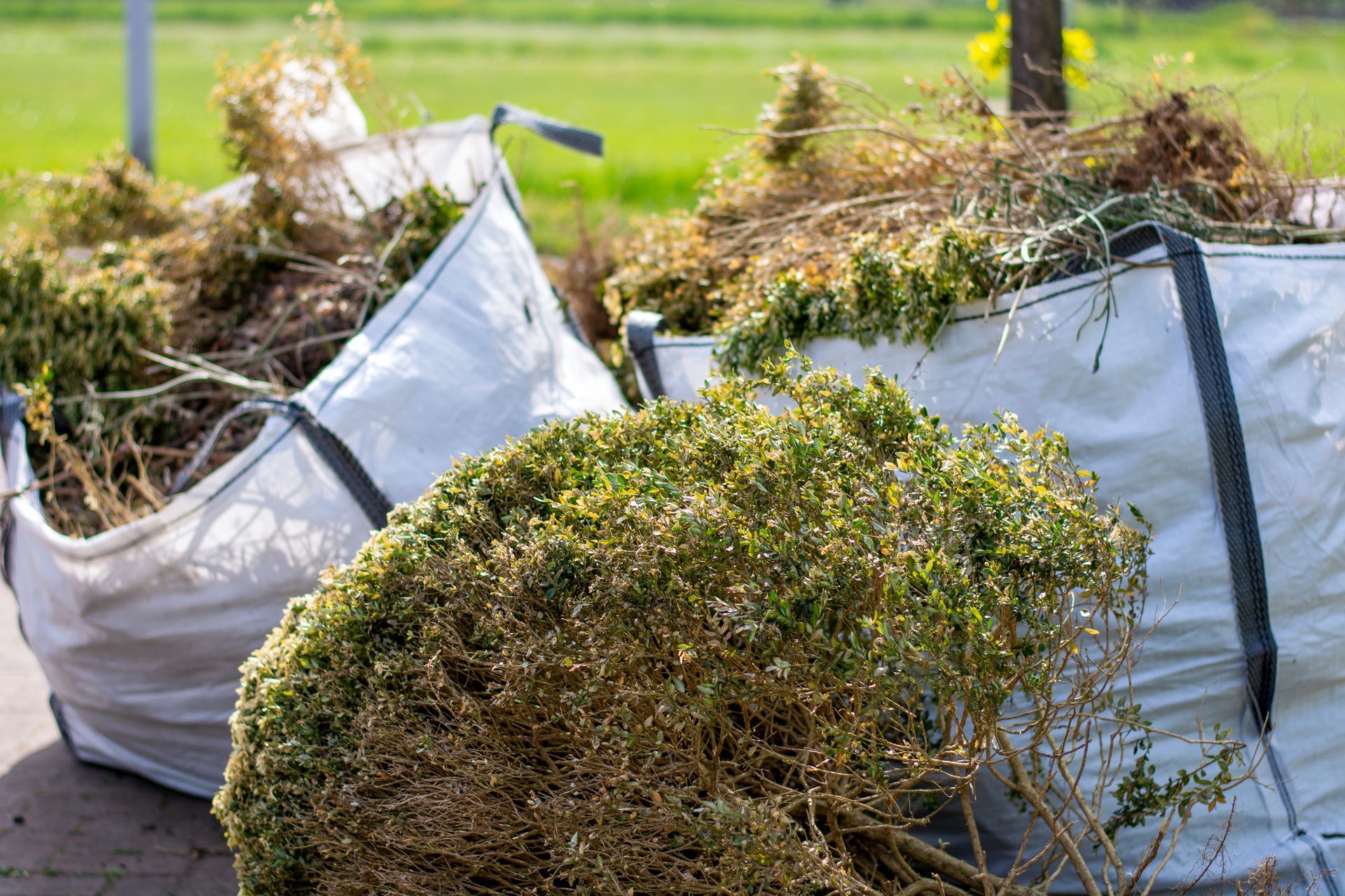 Gartenabfallsäcke mit Laub